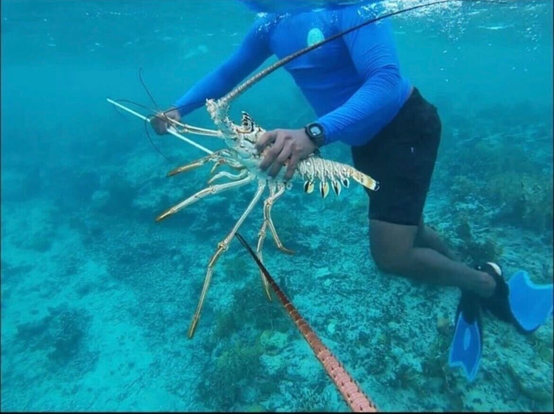 Blue Ocean Tours-Turtle Cove必去景点