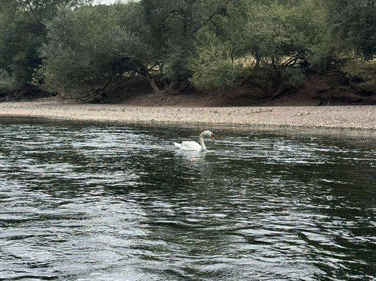 Monmouth Canoe and Activity Centre-Monmouth必去景点