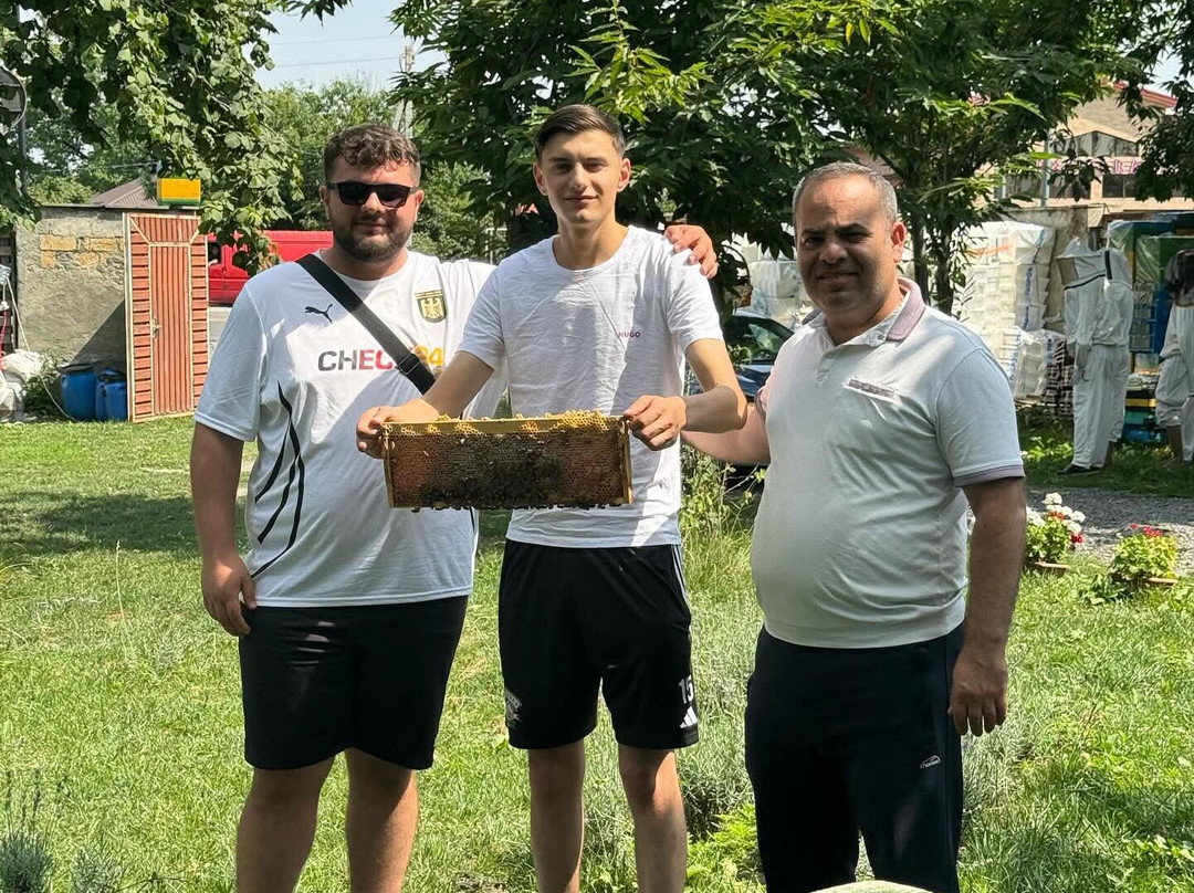 Tofiqoghlu Beekeeping Experience