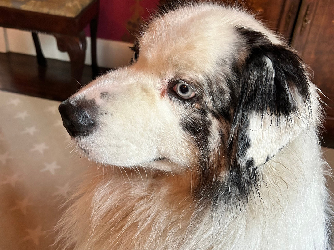 Hubble Shire Farm主图