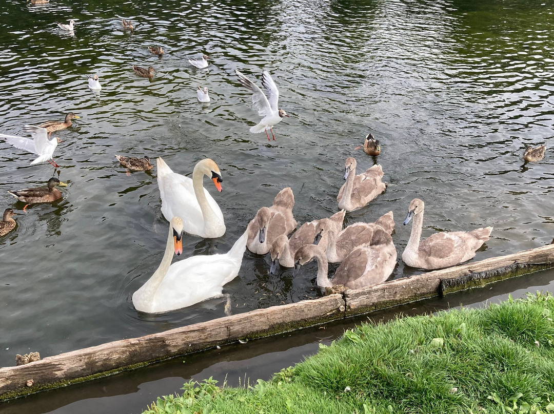 利迪亚德大厦会议中心酒店主图