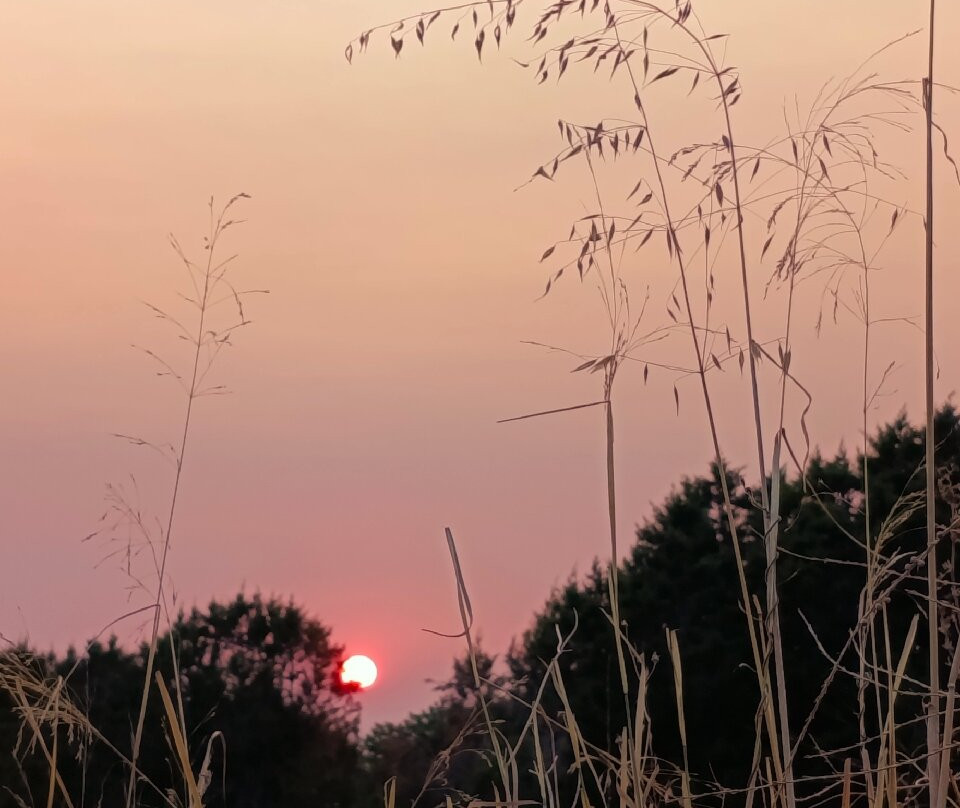 Aparthotel Vibra Monterrey主图