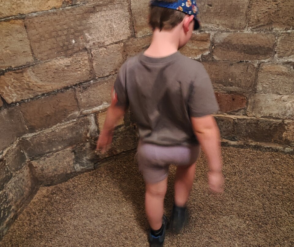 Seaton Delaval Hall-Seaton Sluice必去景点