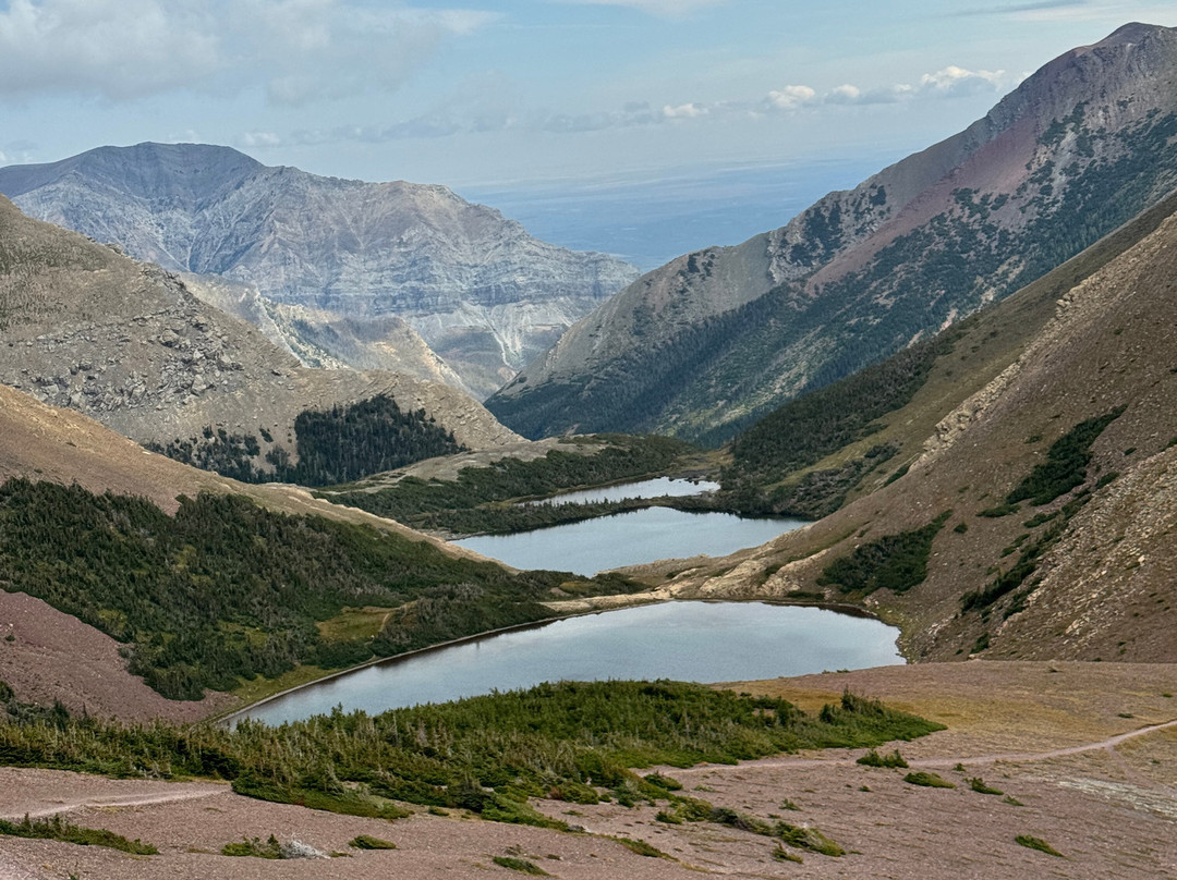 Tamarack Adventures-Waterton必去景点