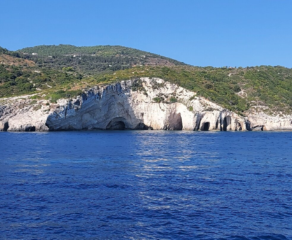 Golden Dolphin-阿雷克斯必去景点