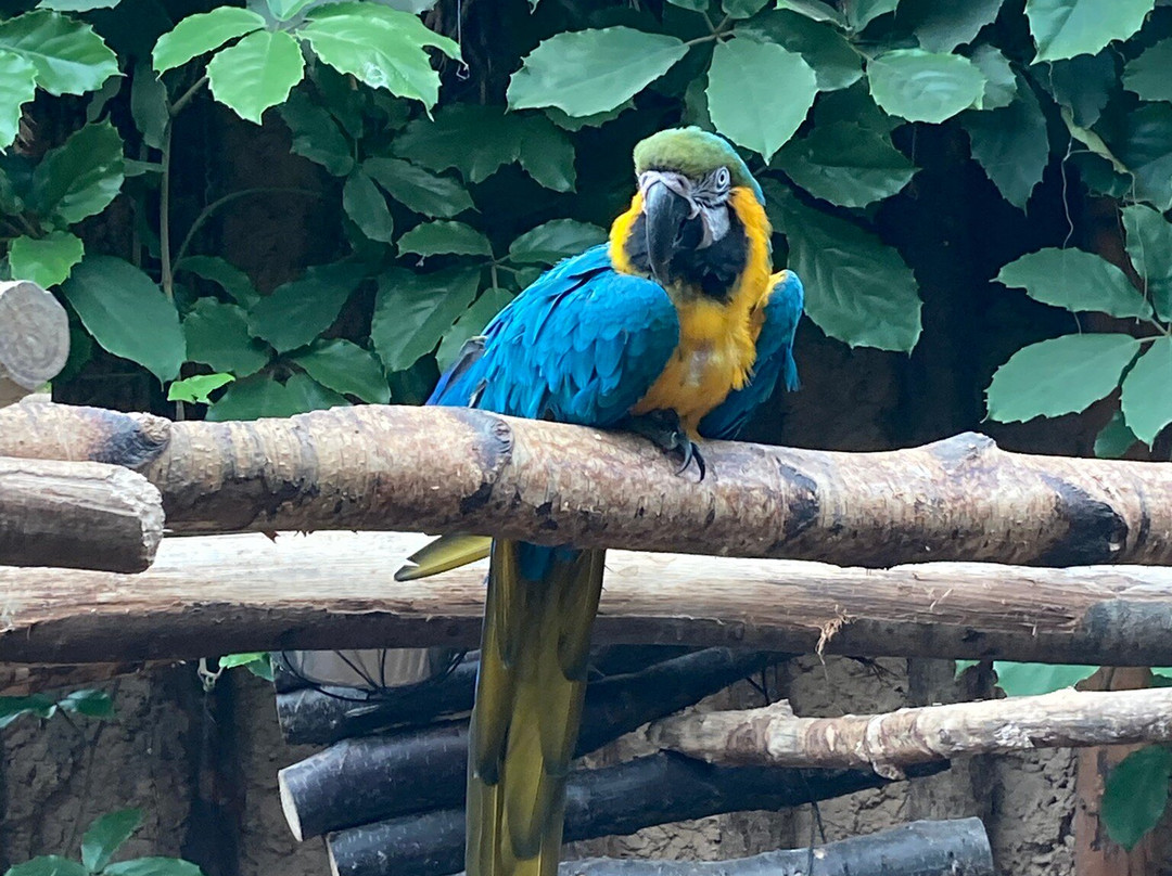 Amazon World Zoo Park-桑当必去景点