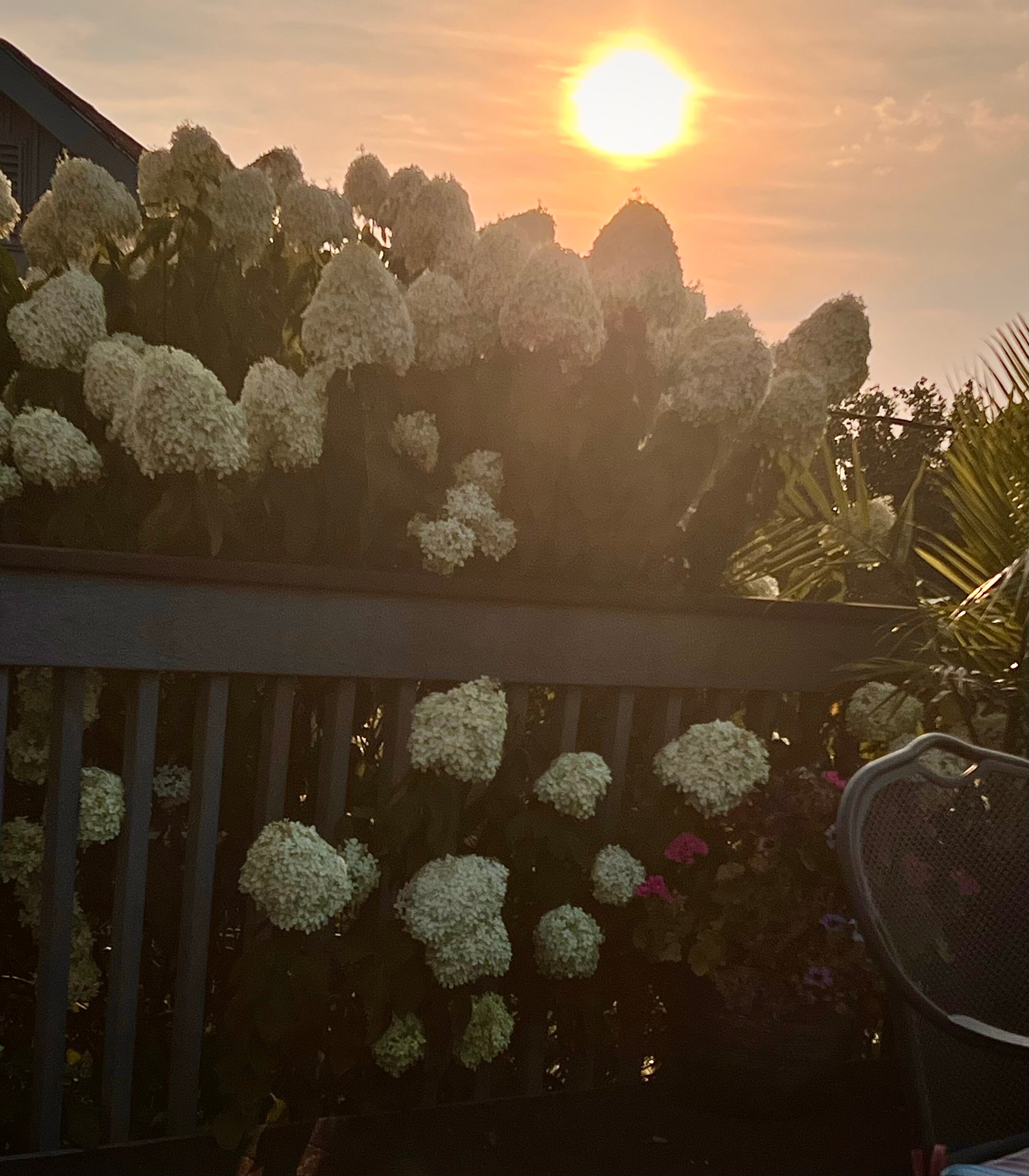 Berlin Village Inn-官方