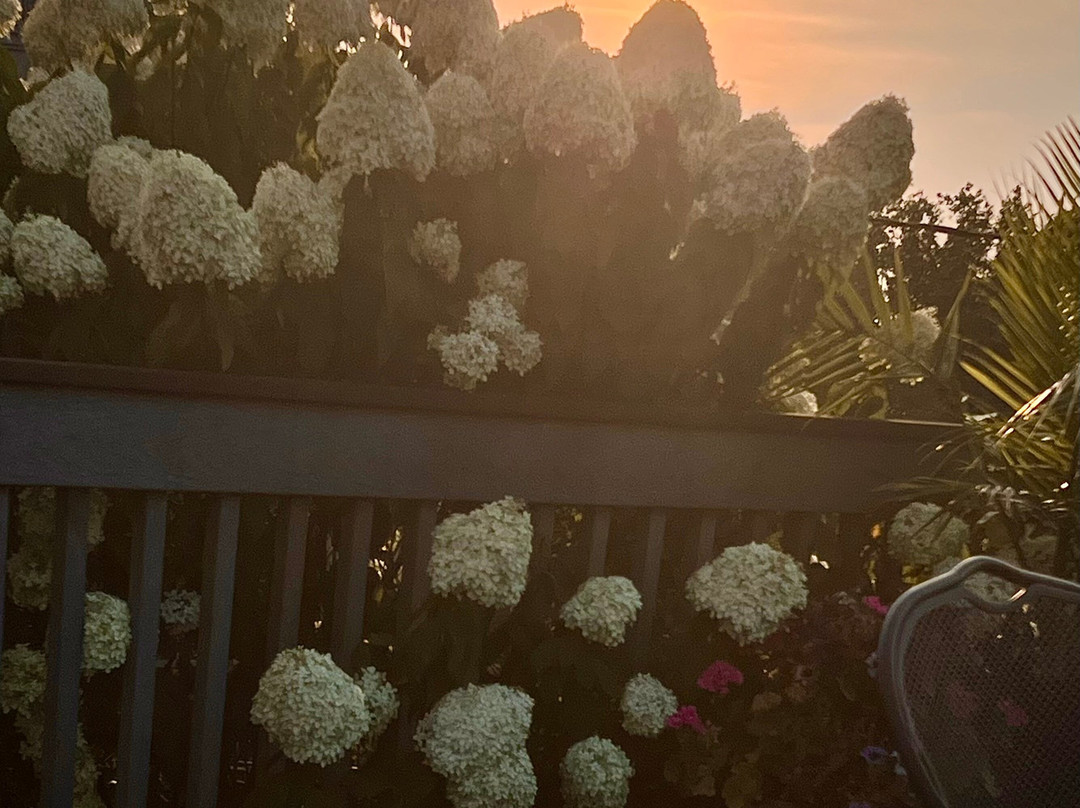 Berlin Village Inn主图