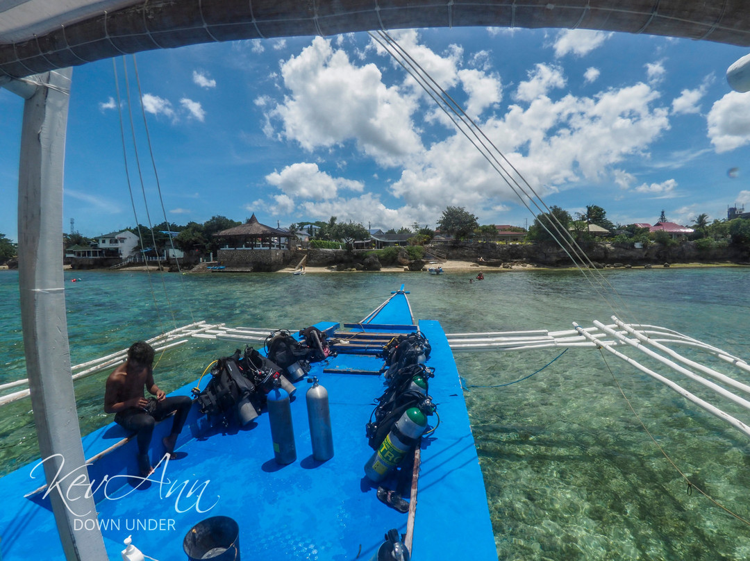 Cebu Fun Divers-莫阿尔博阿尔必去景点