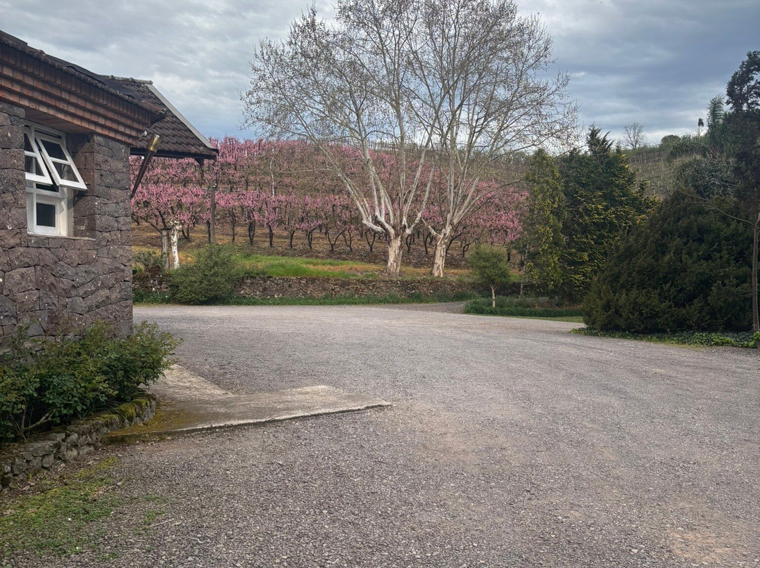 Vinicola Salvati & Sirena-本图贡萨尔维斯必去景点