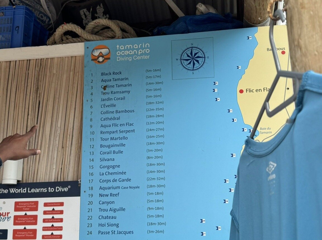 Tamarin OceanPro Divingcenter-塔玛琳必去景点
