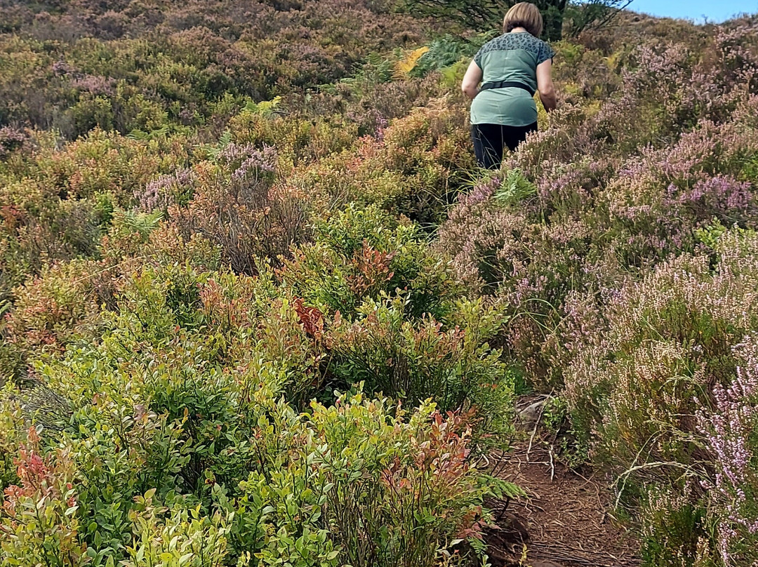 The Drake Stone-Harbottle必去景点