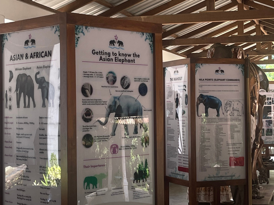 MYM Travels And Tours-班托塔必去景点