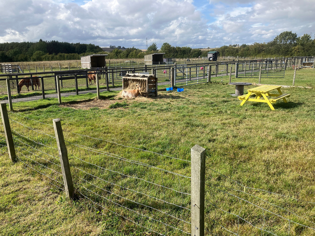 VSA Easter Anguston Farm-Peterculter必去景点