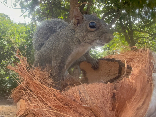 Pernambucando Turismo.-嘎林海斯港必去景点