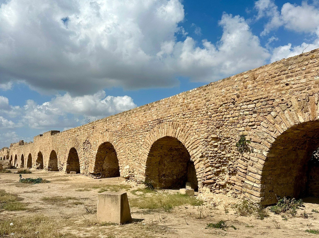 Carthage  Aqueduct-迦太基必去景点