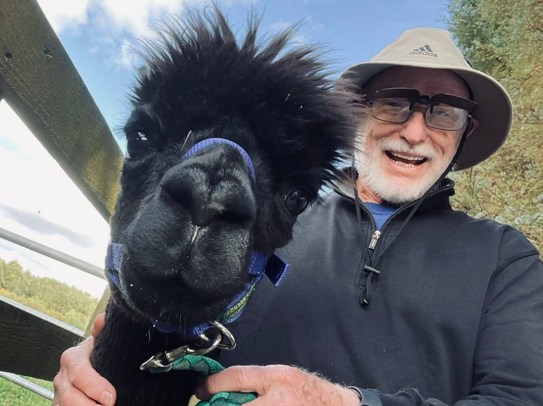 Alpaca Days Out-埃尔金必去景点