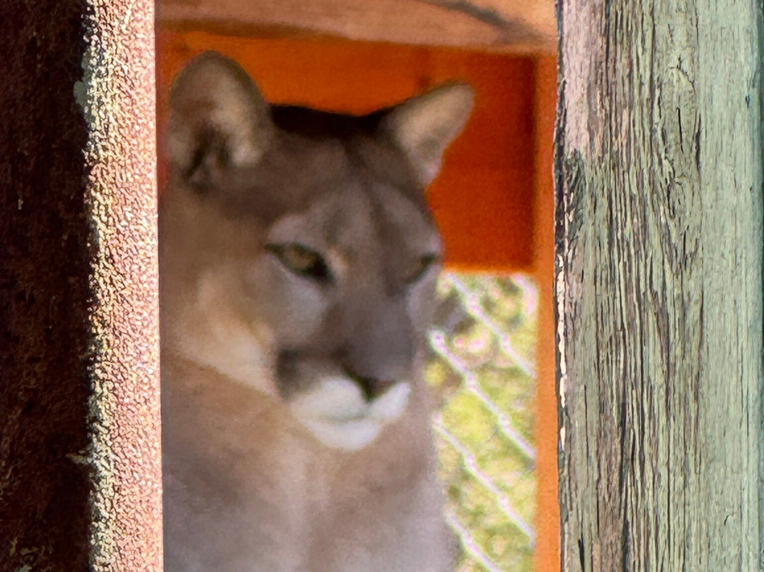 Wildlife West Nature Park-Edgewood必去景点