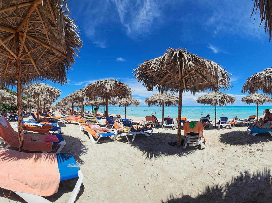 棕榈索尔酒店主图