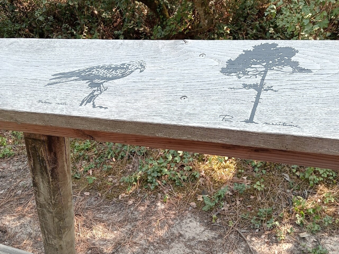 Pey de la Blet-La Barre-de-Monts必去景点