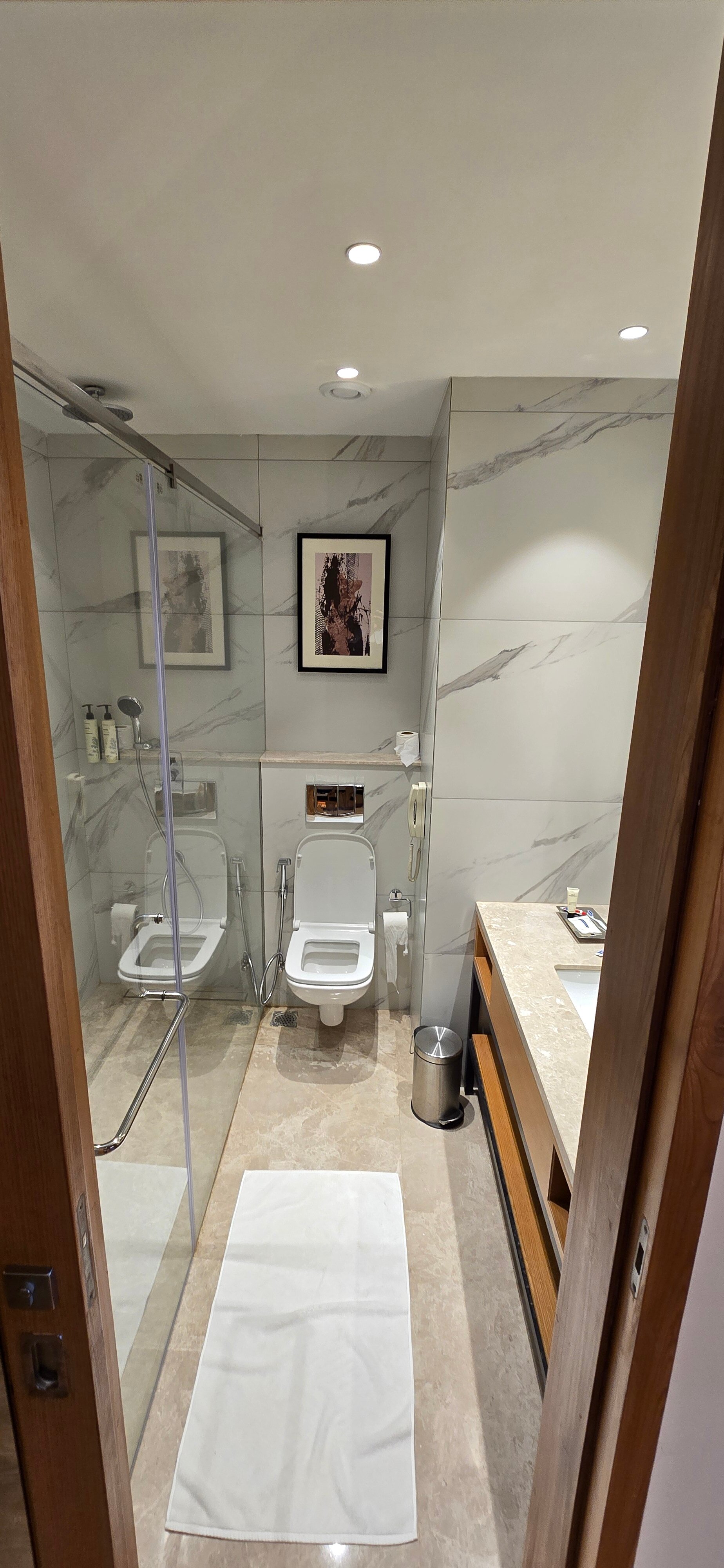 Iris Sarovar Portico-浴室