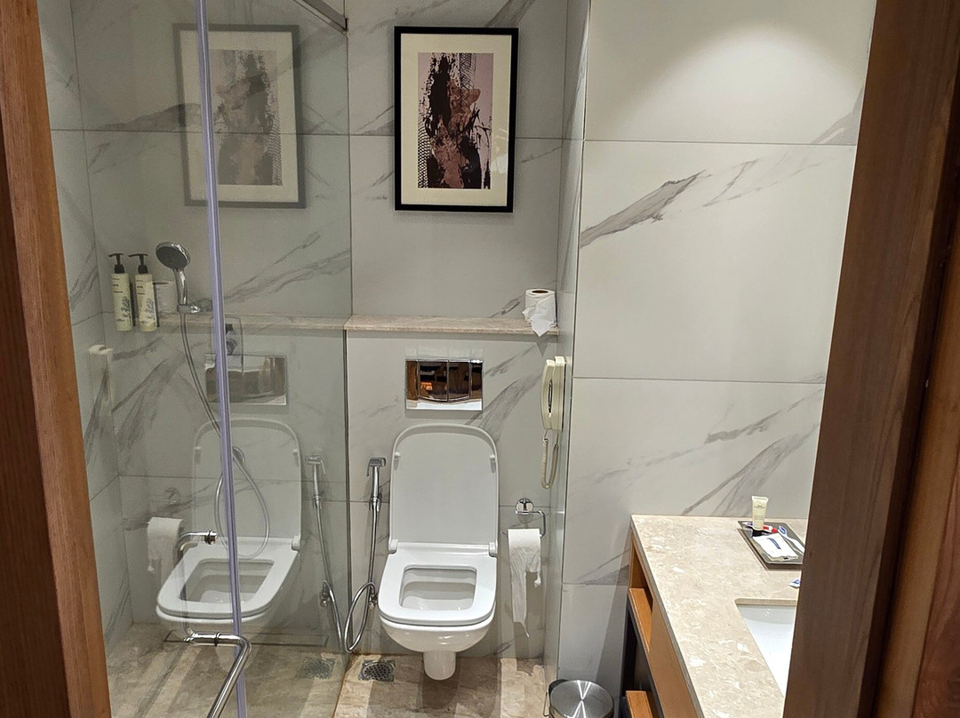 Iris Sarovar Portico主图