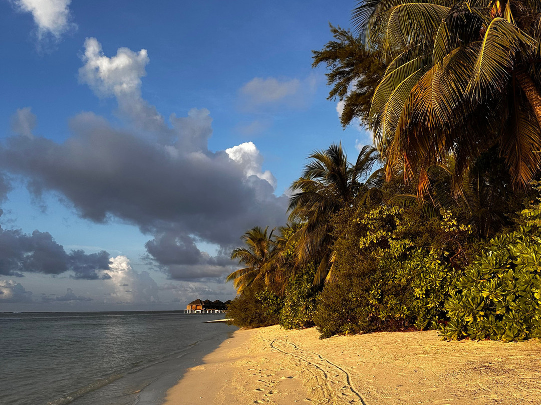 Euro-Divers LUX South Ari Atoll-南阿里环礁必去景点