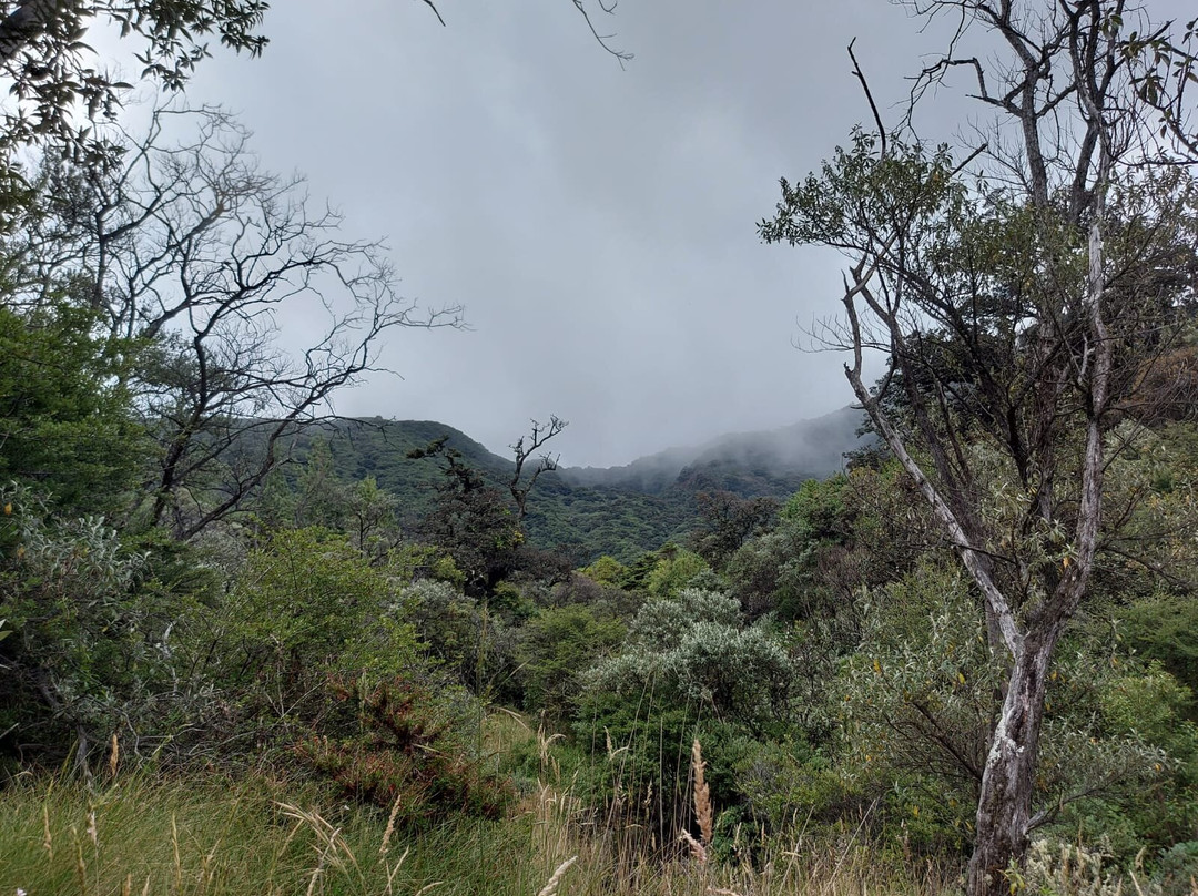 Oropopo Experience-圣何塞必去景点