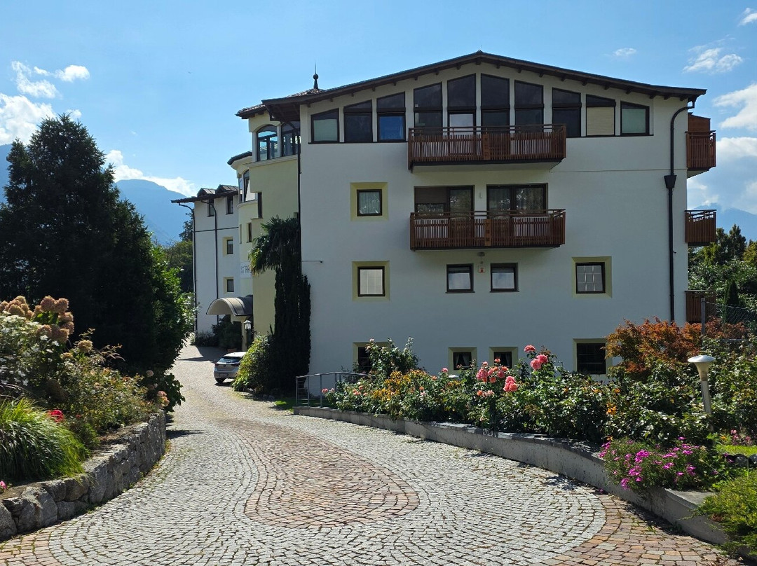 Hotel Traubenheim主图