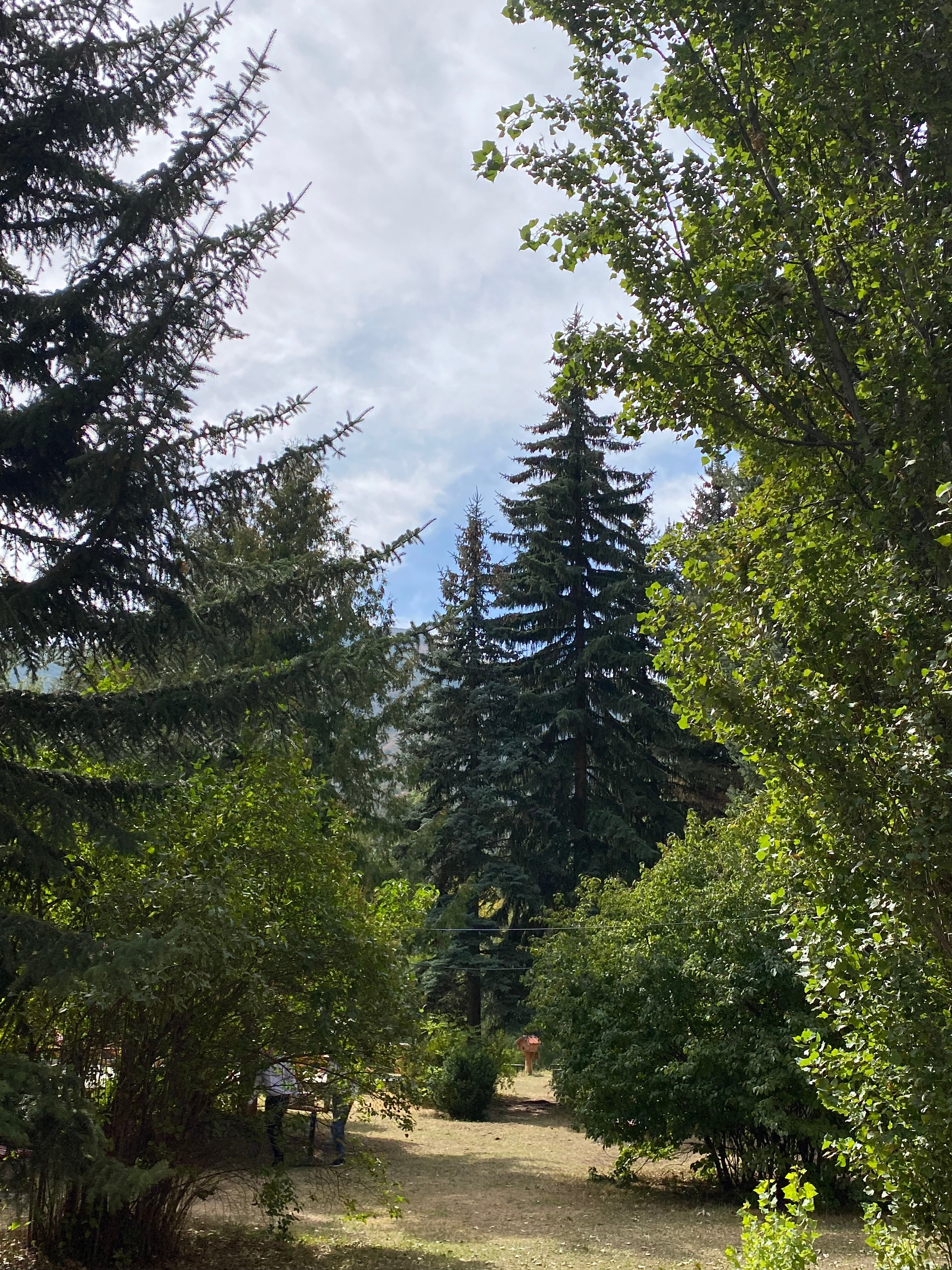 Park Resort Aghveran-官方