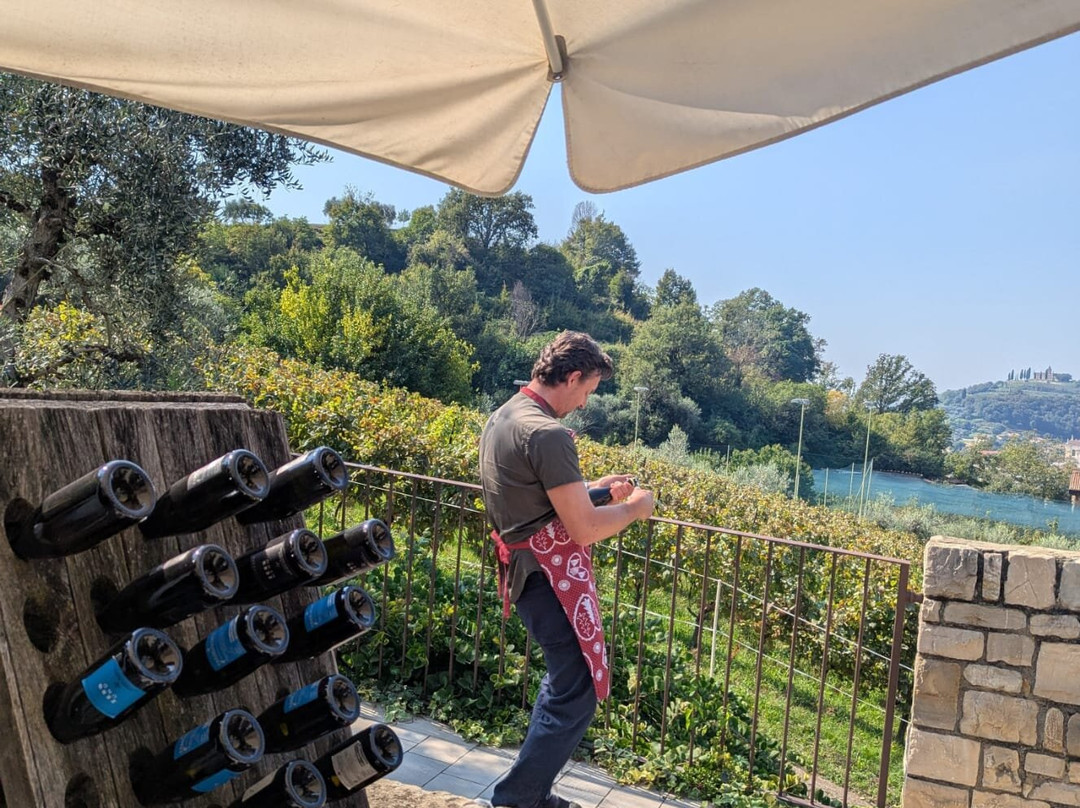 Azienda Agricola Colline Della Stella