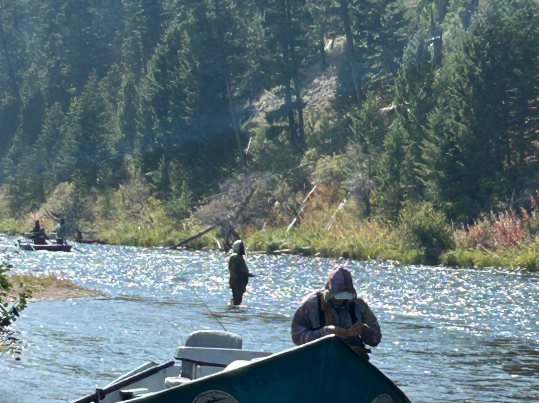 Arrick's Fly Shop, Inc.-西黄石镇必去景点