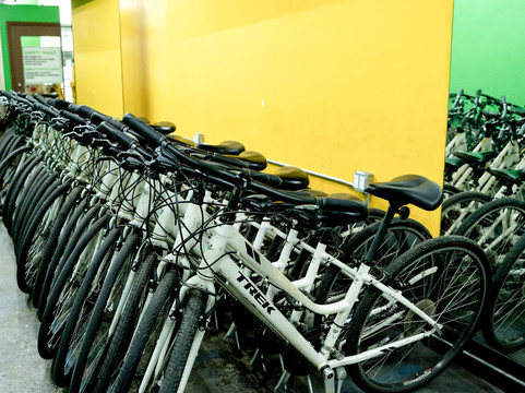 Bike Rental Central Park-纽约市必去景点