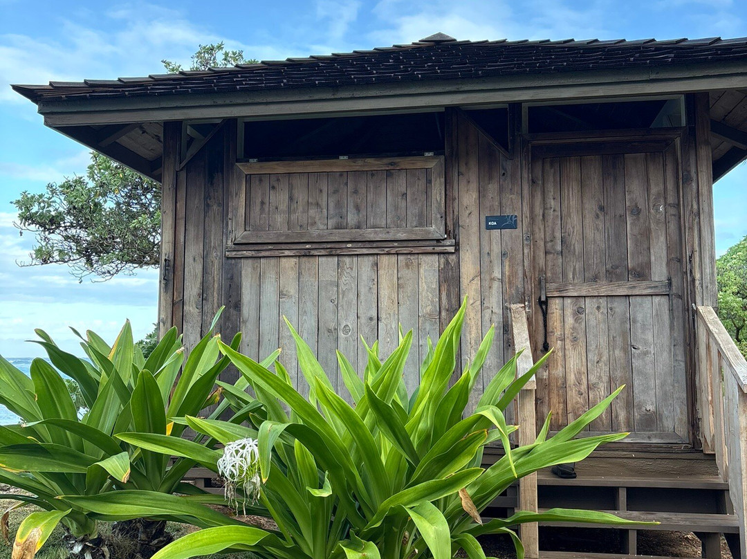 Turtle Bay Beach-卡胡库必去景点
