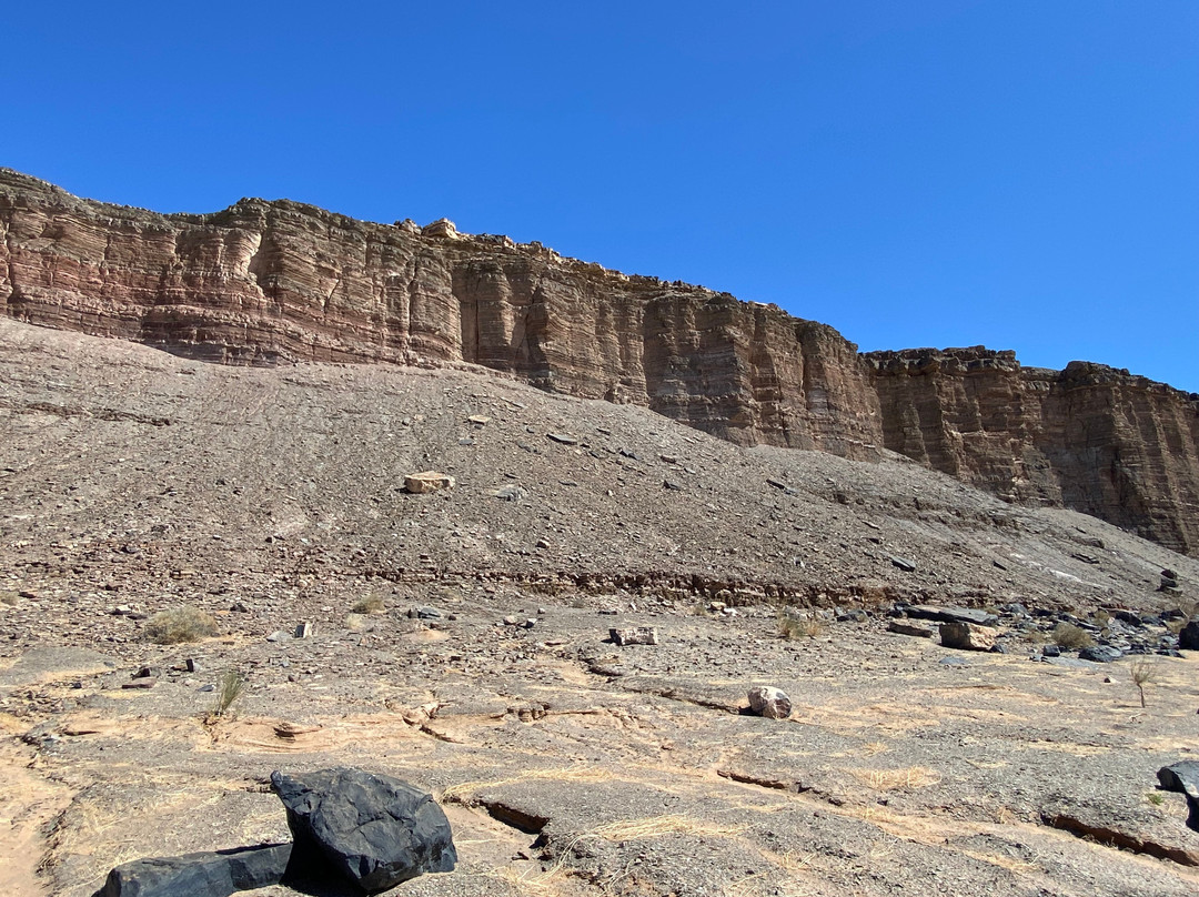 Namib Offroad Excursions-吕德里茨必去景点