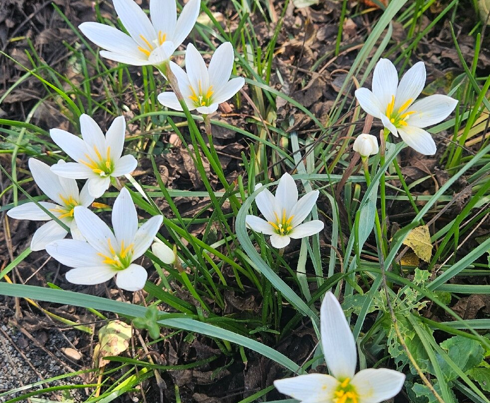 Delaware Botanic Gardens-Dagsboro必去景点