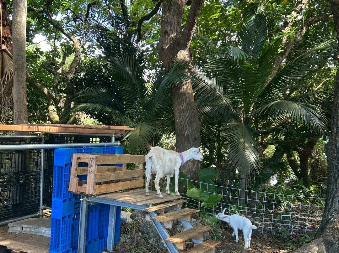 川平湾-石垣市必去景点