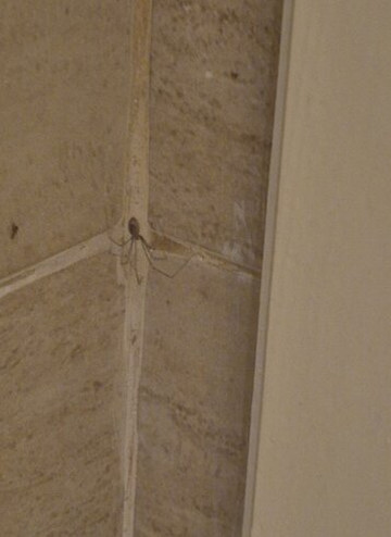 新巴达旅馆主图