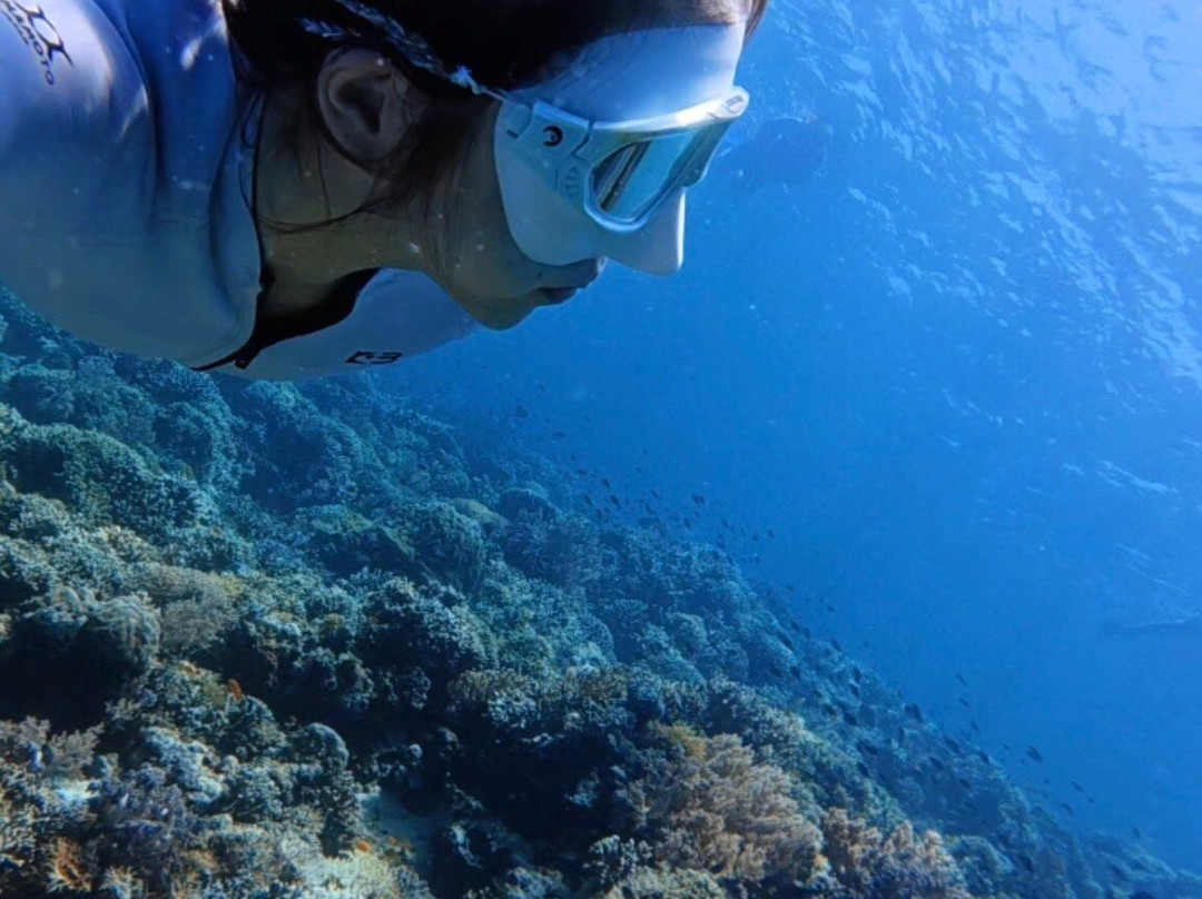 Blue Corner Dive Menjangan-西巴厘岛国家公园必去景点