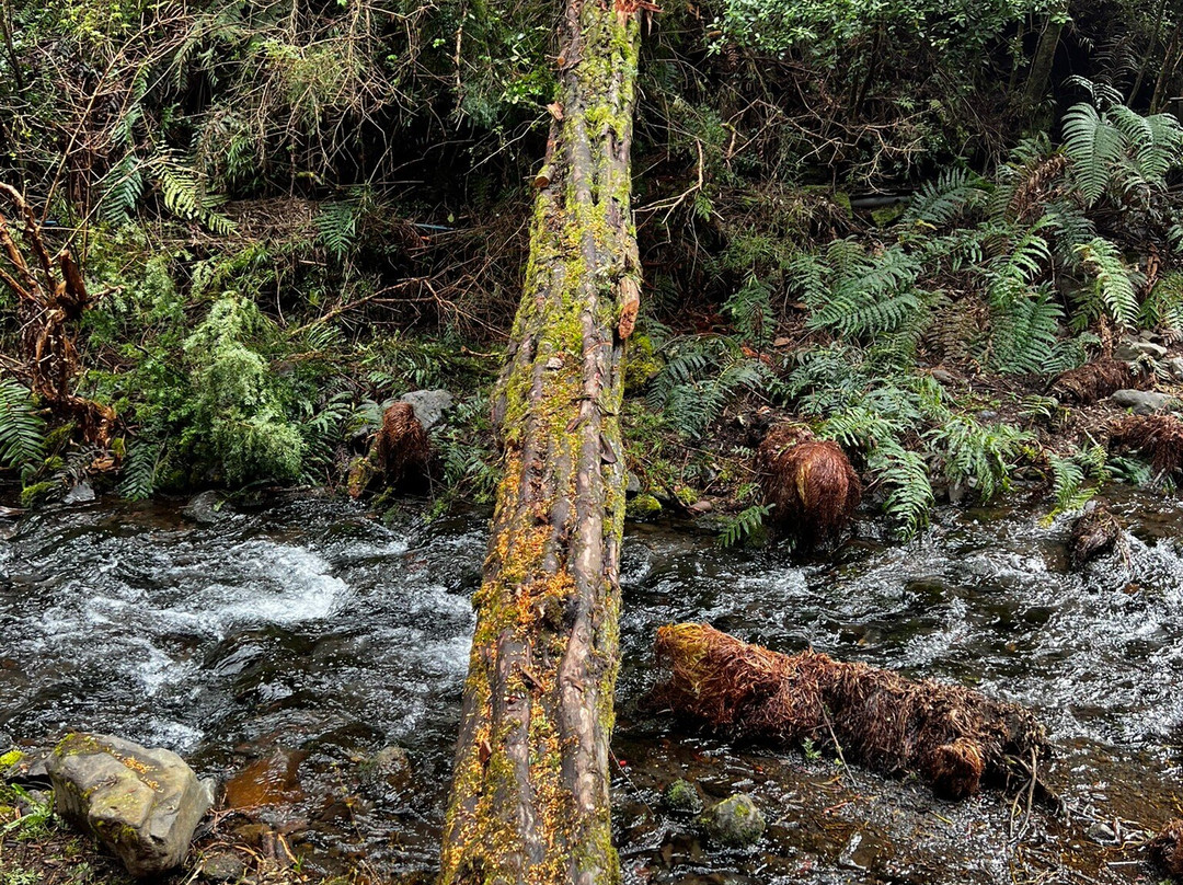 Termas Geometricas-普孔必去景点