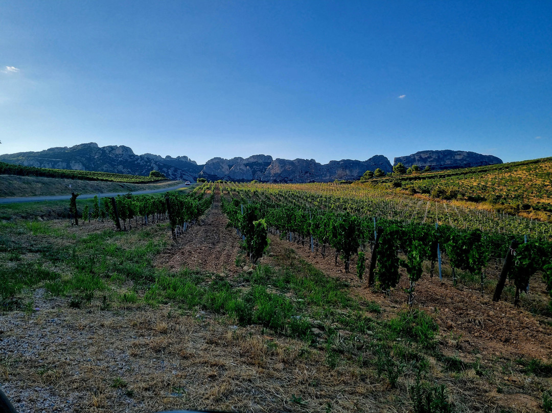 Domaine de Coyeux-Beaumes-de-Venise必去景点