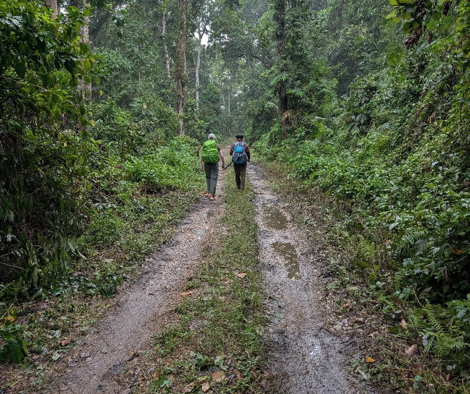 Nepal Dynamic Eco Tours & Services-奇旺国家公国必去景点