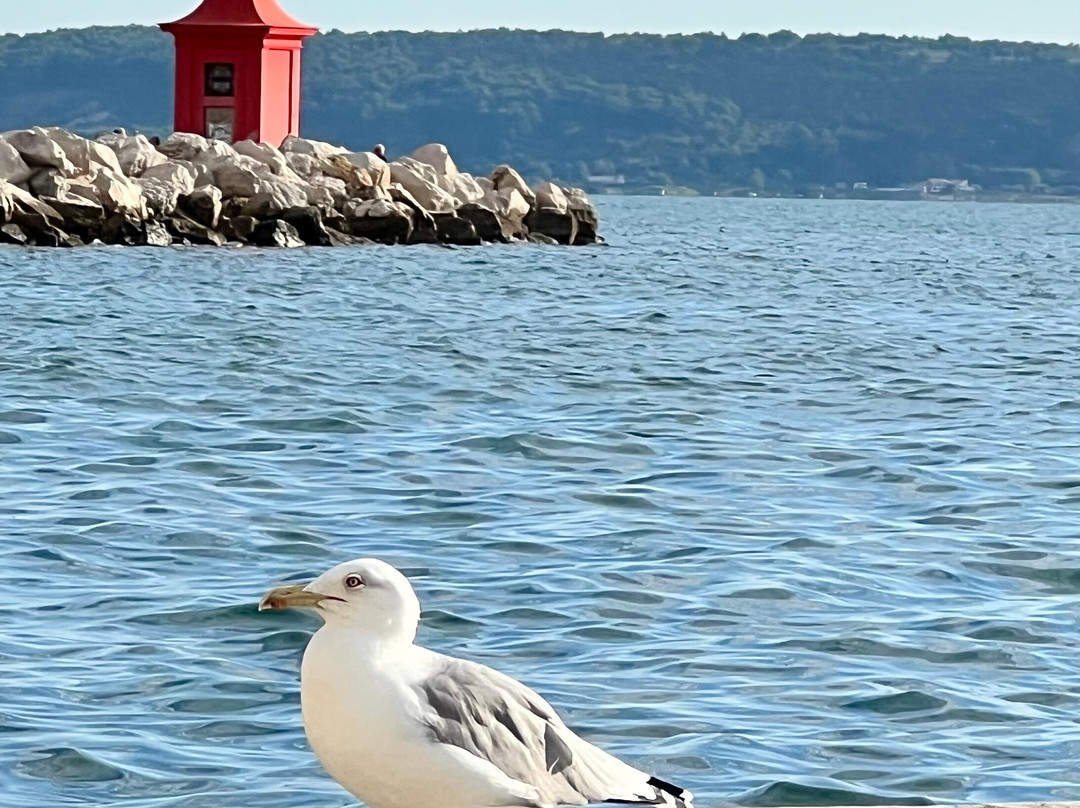 Rent a Boat Bernardin-波多若斯必去景点