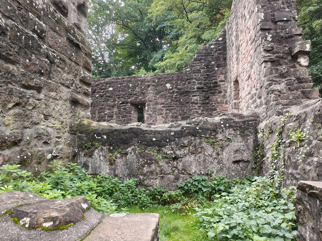 Hinterburg-Neckarsteinach必去景点