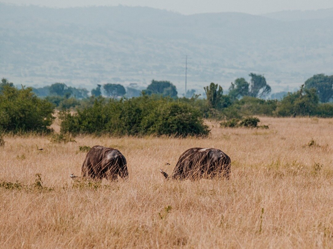 Gorilla League safaris-Kanungu必去景点