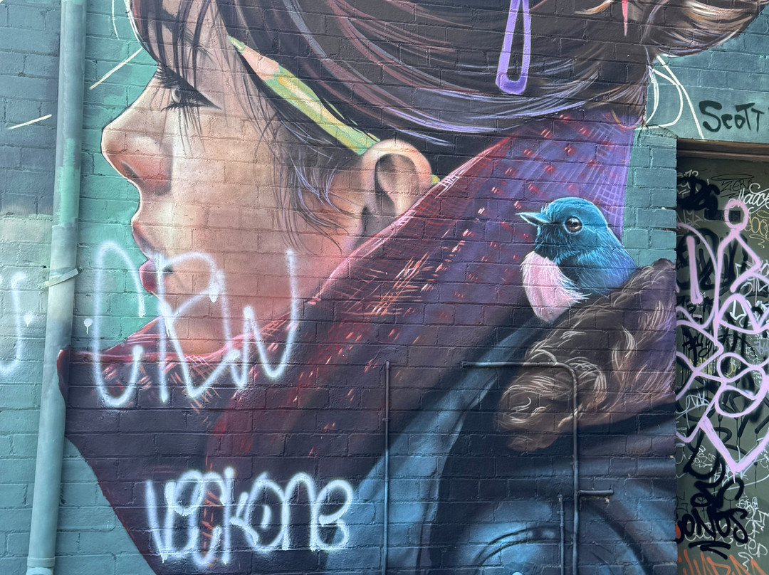 Street Art Walk - by Street Art Murals Australia-卡通巴必去景点