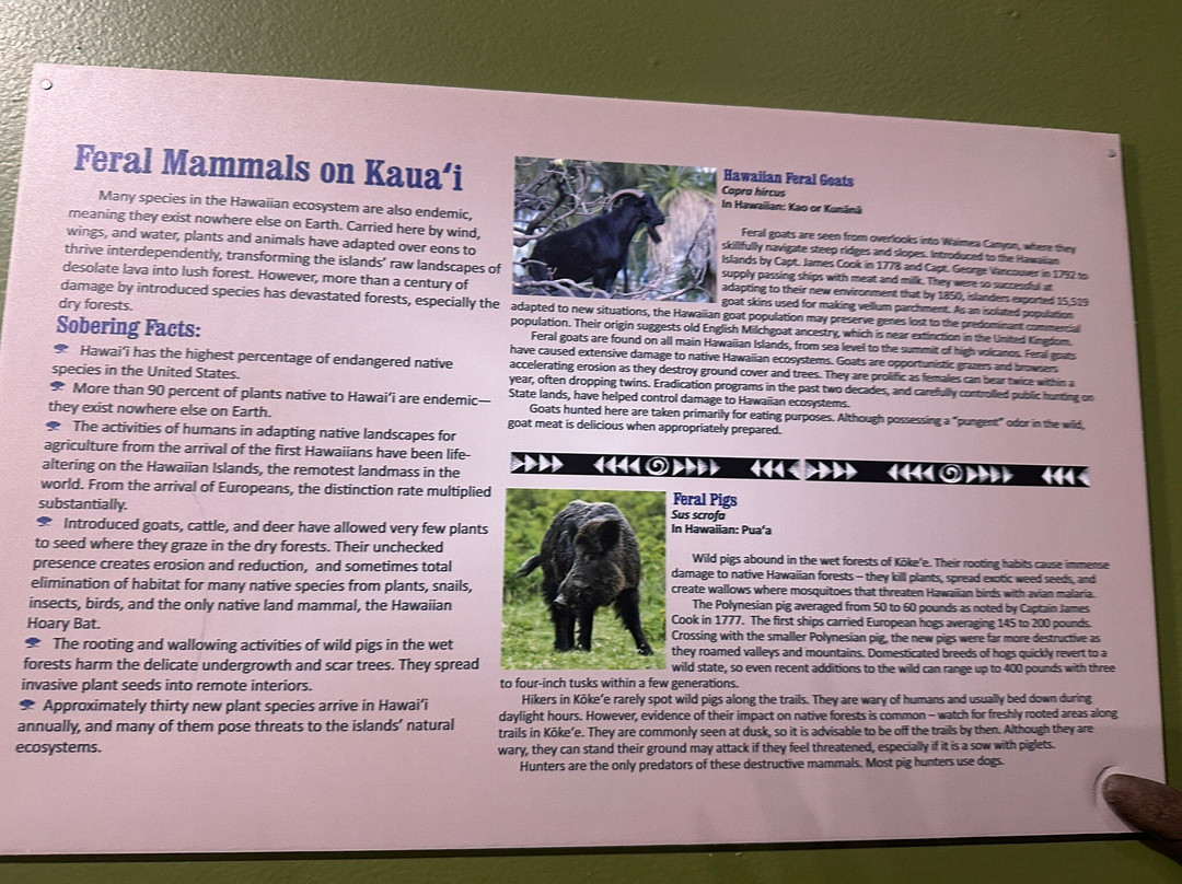 寇基自然历史博物馆-科卡哈必去景点