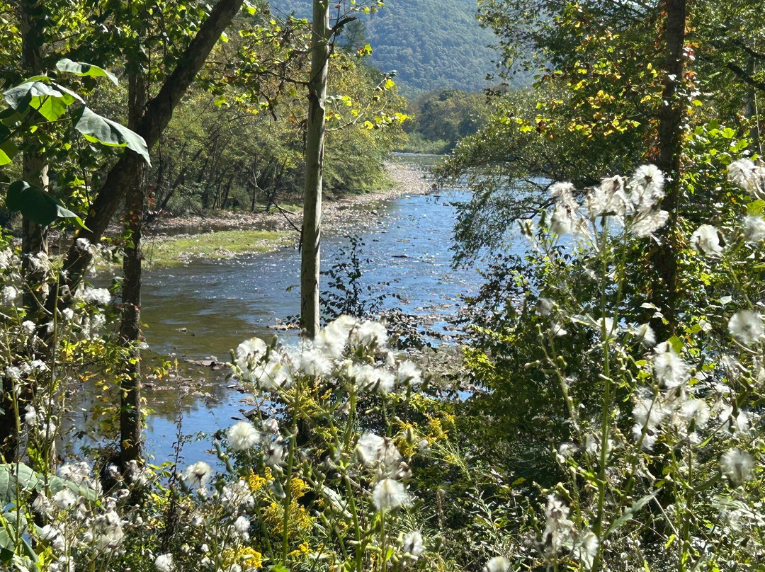 Greenbrier River Trail-西维吉尼亚必去景点