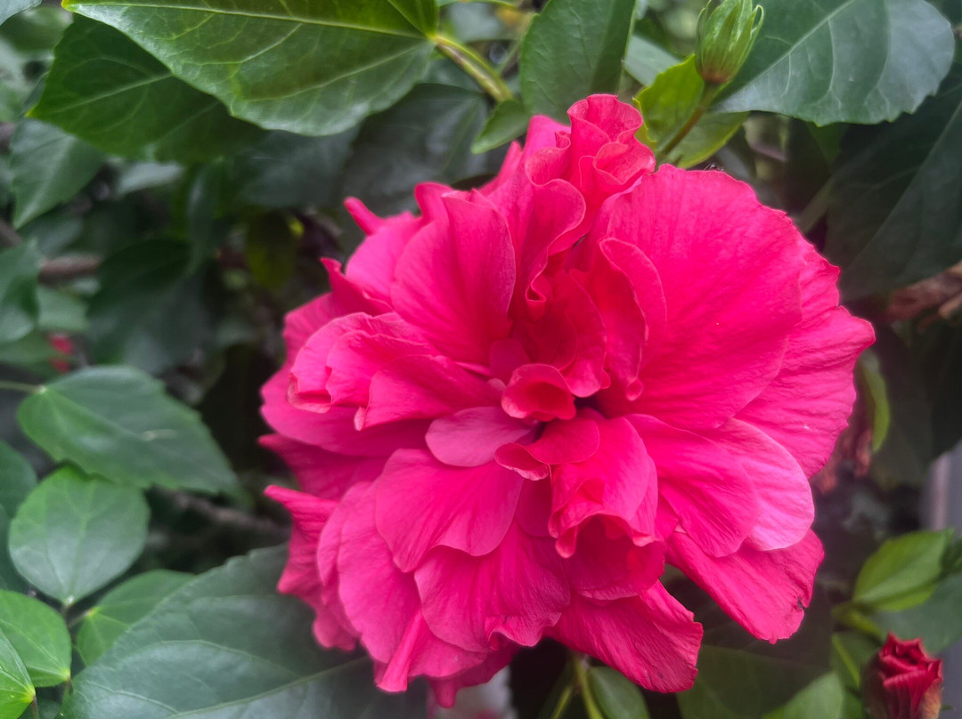 Atins酒店住宿-Estrela dos Lencois