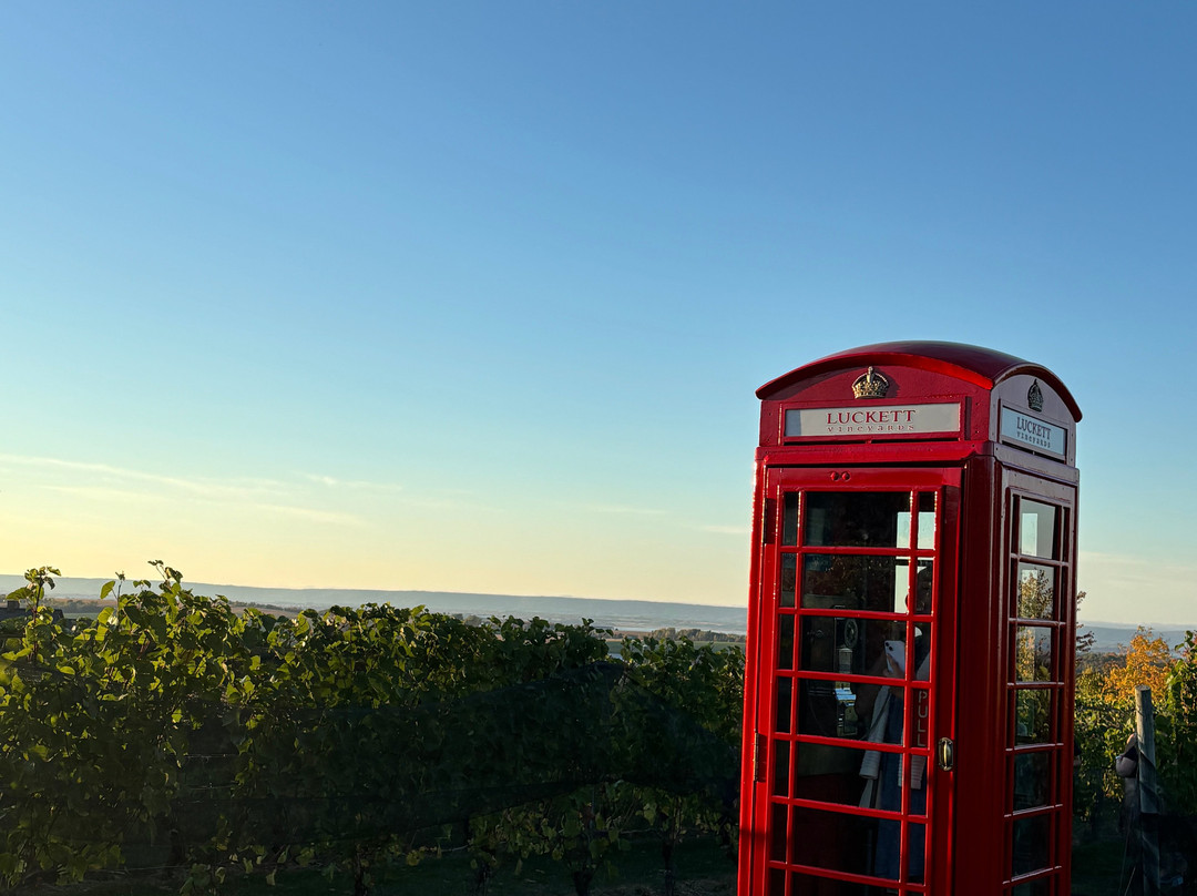 Luckett Vineyards-Wolfville必去景点